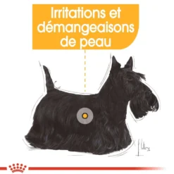 Royal Canin Dermacomfort - pâtée chien