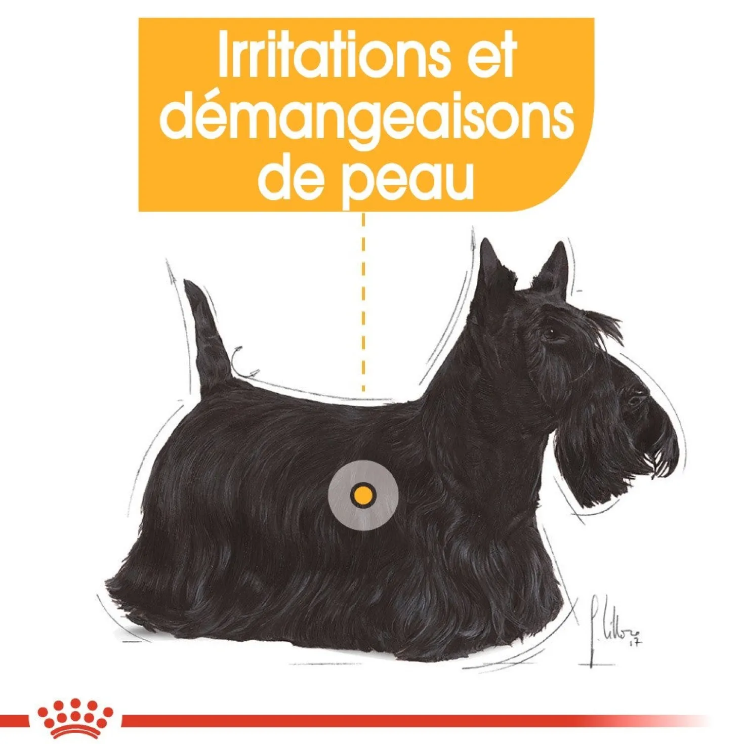 Royal Canin Dermacomfort - pâtée chien