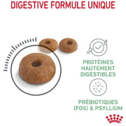 Royal Canin Digestive Care - croquettes chat