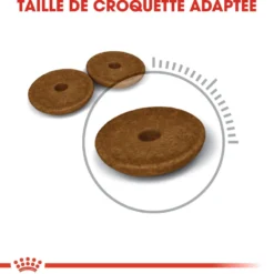 Royal Canin Digestive Care - croquettes chat