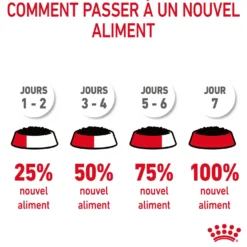 Royal Canin Digestive Care en mousse - pâtée chat