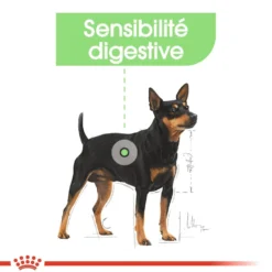 Royal Canin Digestive Care - Pâtée pour chien