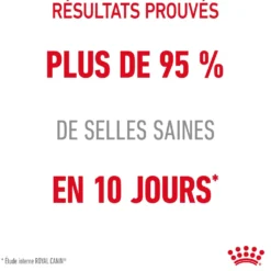 Royal Canin Digest Sensitive - pâtée chat
