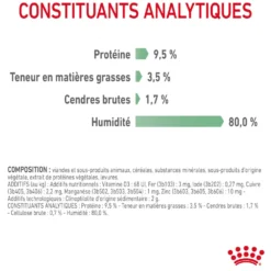 Royal Canin Digest Sensitive - pâtée chat