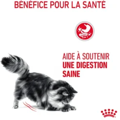 Royal Canin Digest Sensitive - pâtée chat