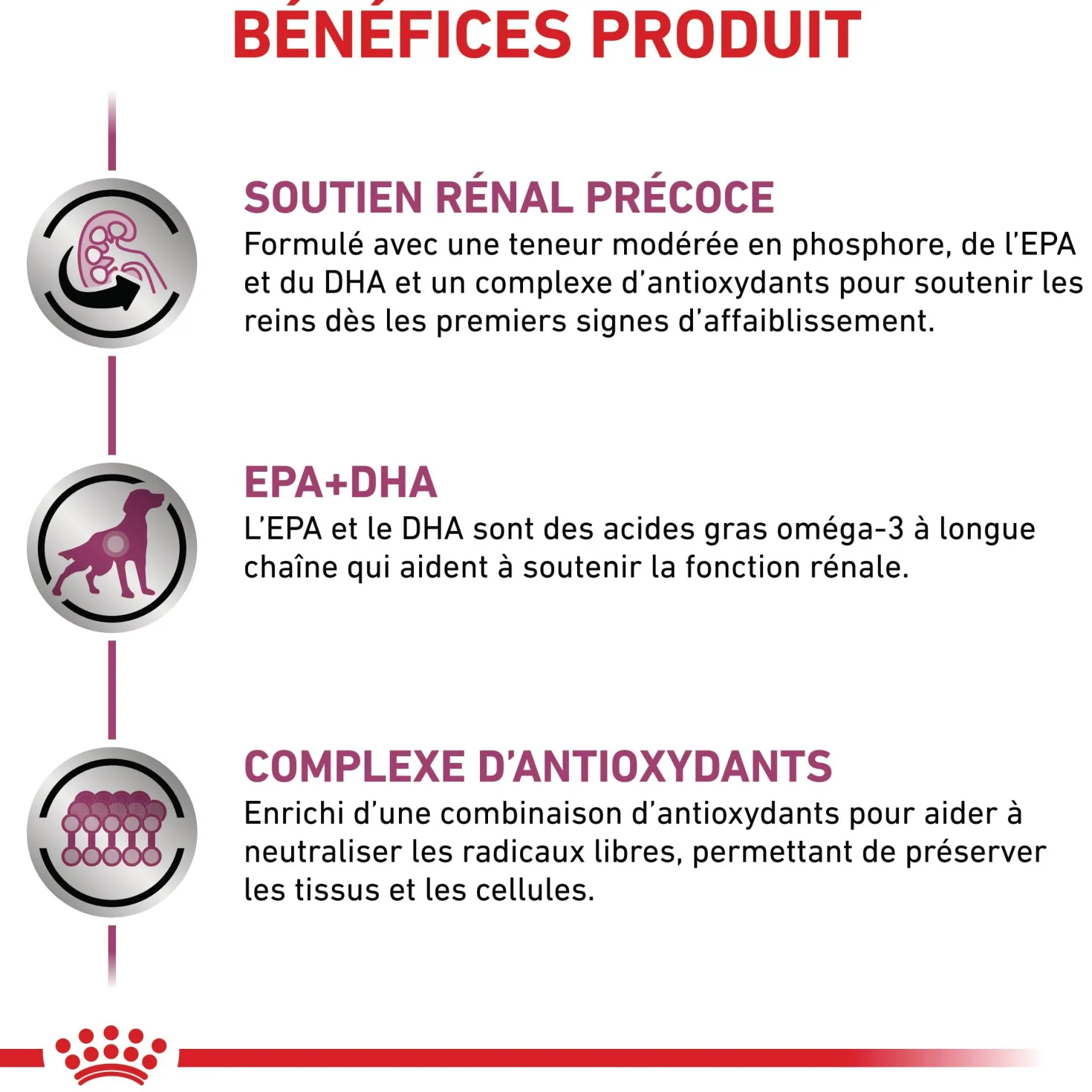 Royal Canin Early Renal - pâtée chien