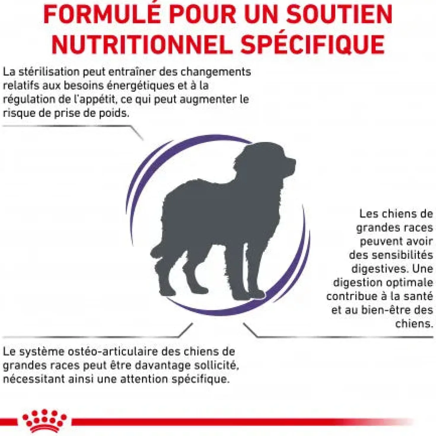 Royal Canin Ehn Chien Neutered Adulte Large