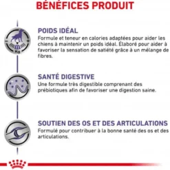 Royal Canin Ehn Chien Neutered Adulte Large