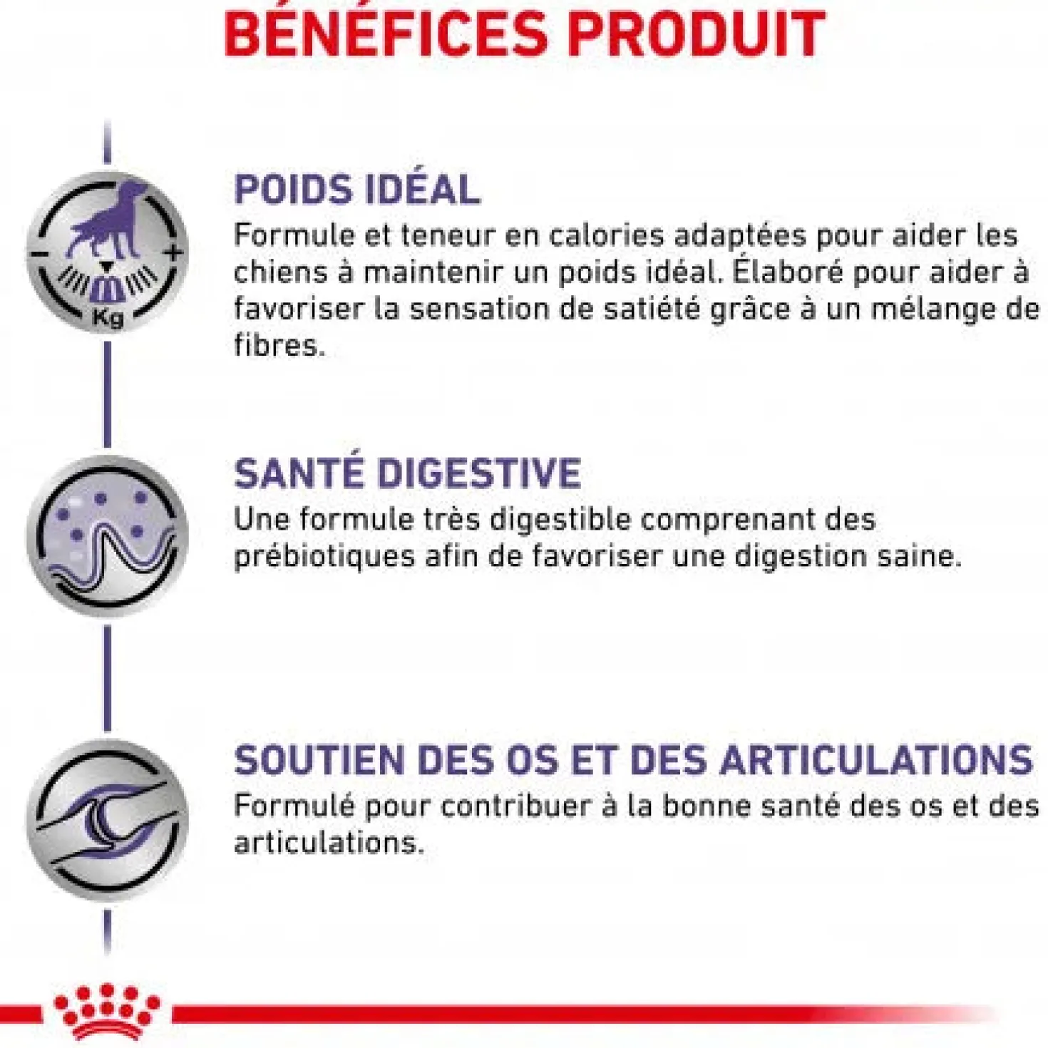 Royal Canin Ehn Chien Neutered Adulte Large