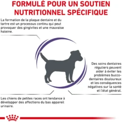 Royal Canin Ehn Chien Small Dental - croquettes chien