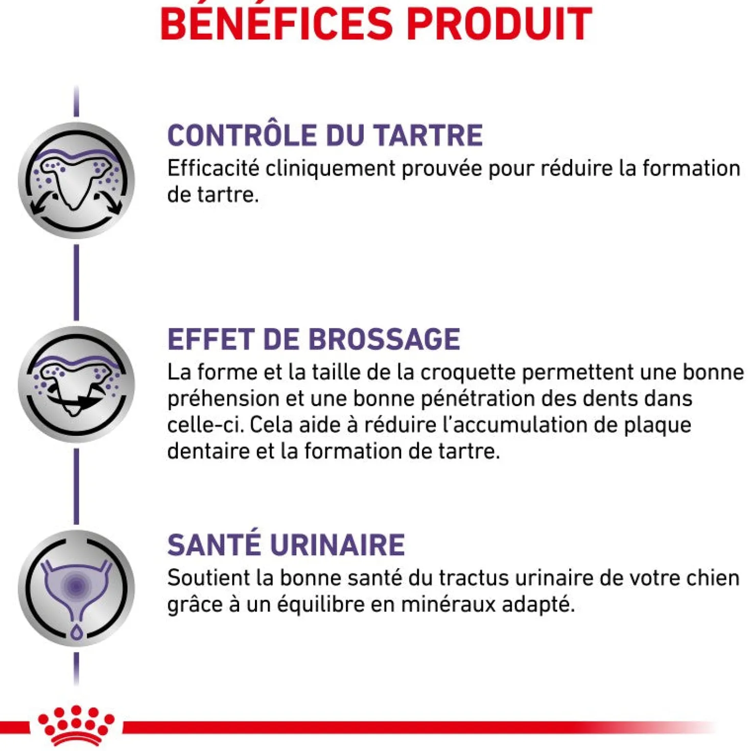 Royal Canin Ehn Chien Small Dental - croquettes chien