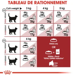 Royal Canin Fit 32 - croquettes chat