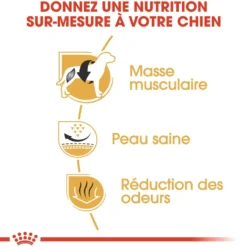 Royal Canin French Bulldog Adult - croquettes chien
