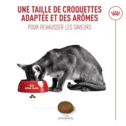 Royal Canin Fussy