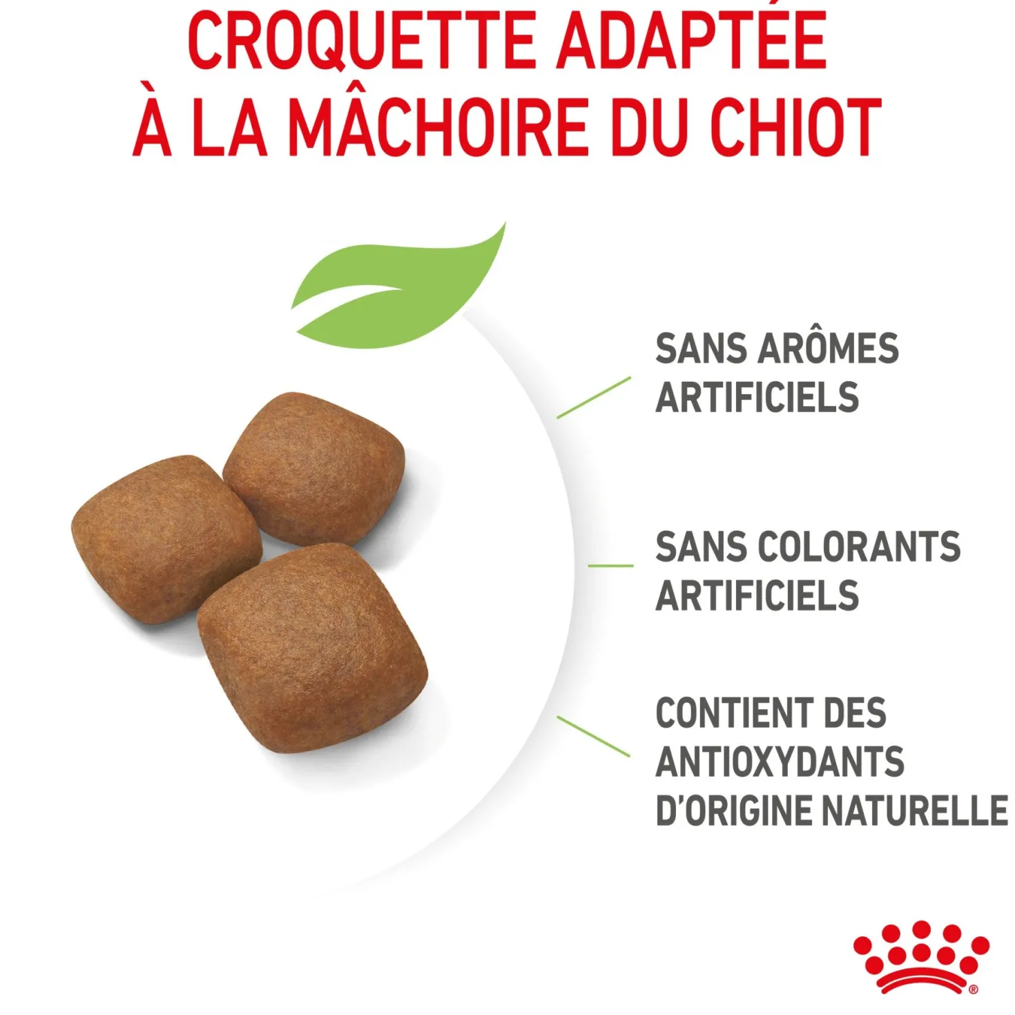 Royal Canin Giant Junior - Croquettes pour chiot