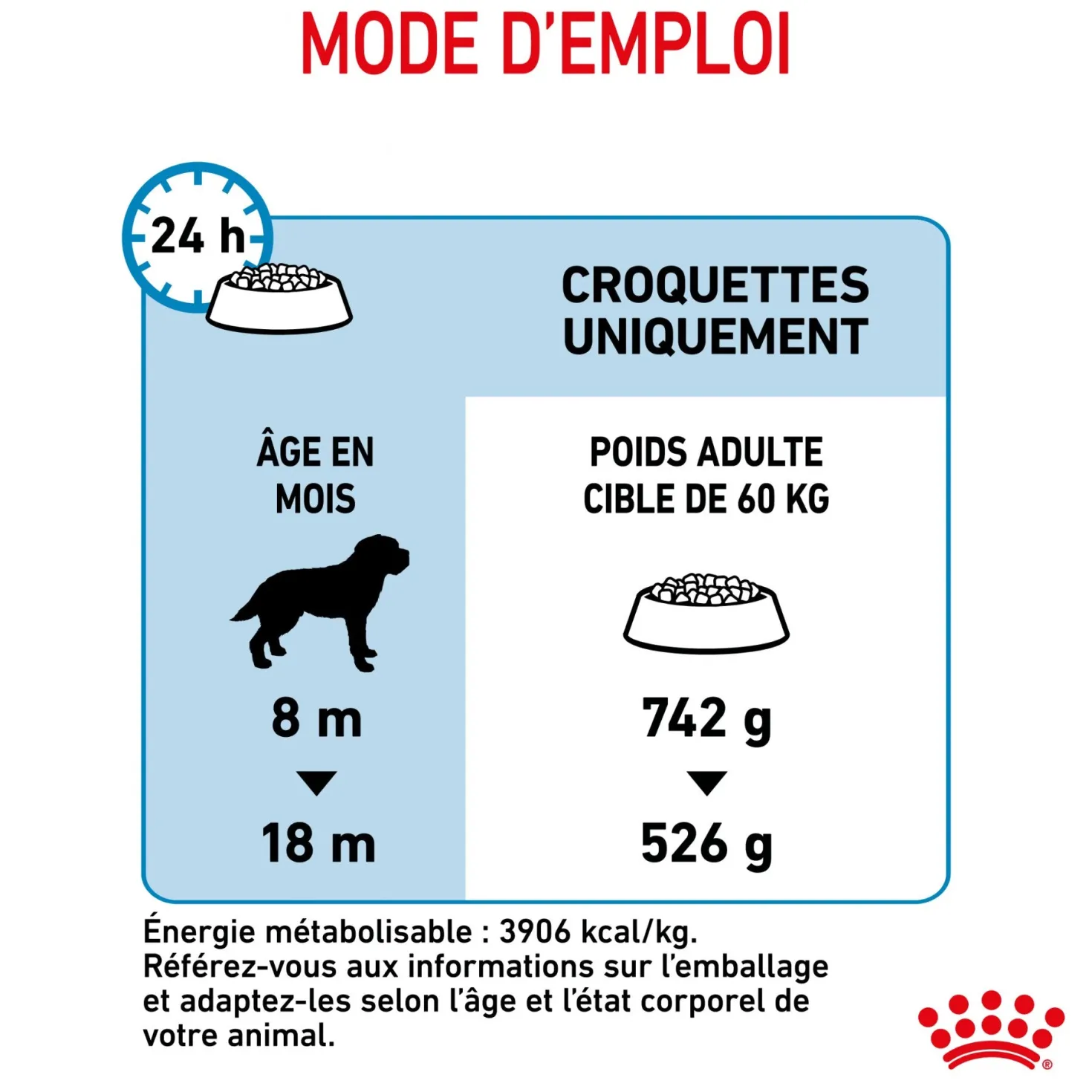 Royal Canin Giant Junior - Croquettes pour chiot