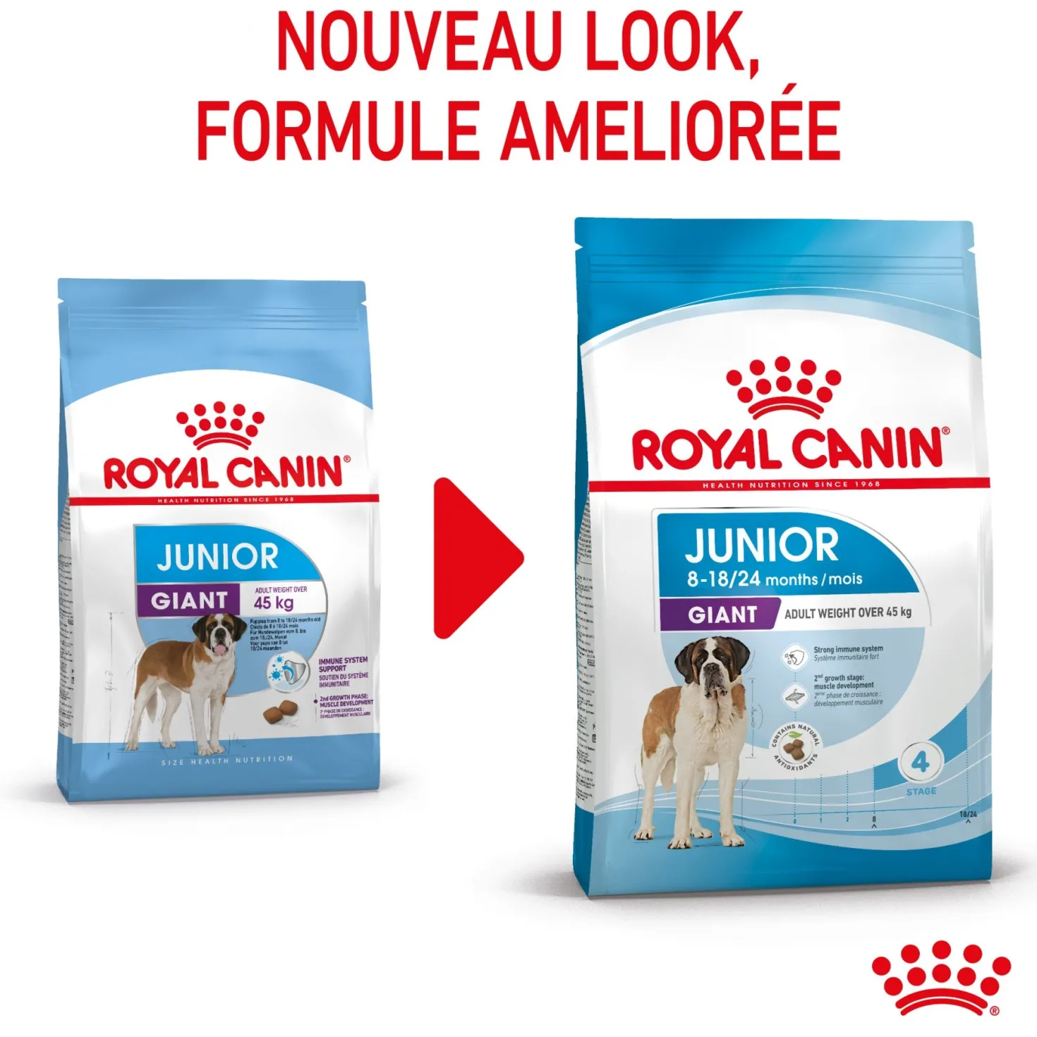 Royal Canin Giant Junior - Croquettes pour chiot