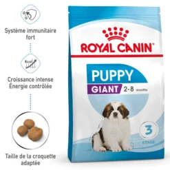 Royal Canin Giant Puppy - Croquettes pour chiot