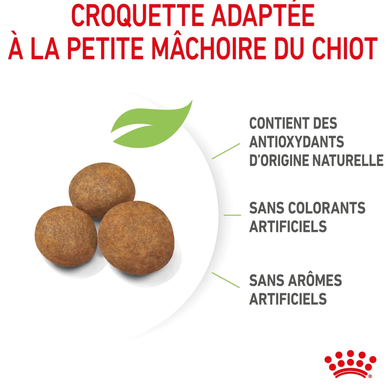 Royal Canin Giant Puppy - Croquettes pour chiot
