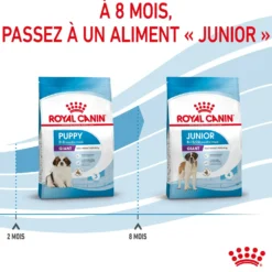 Royal Canin Giant Puppy - Croquettes pour chiot