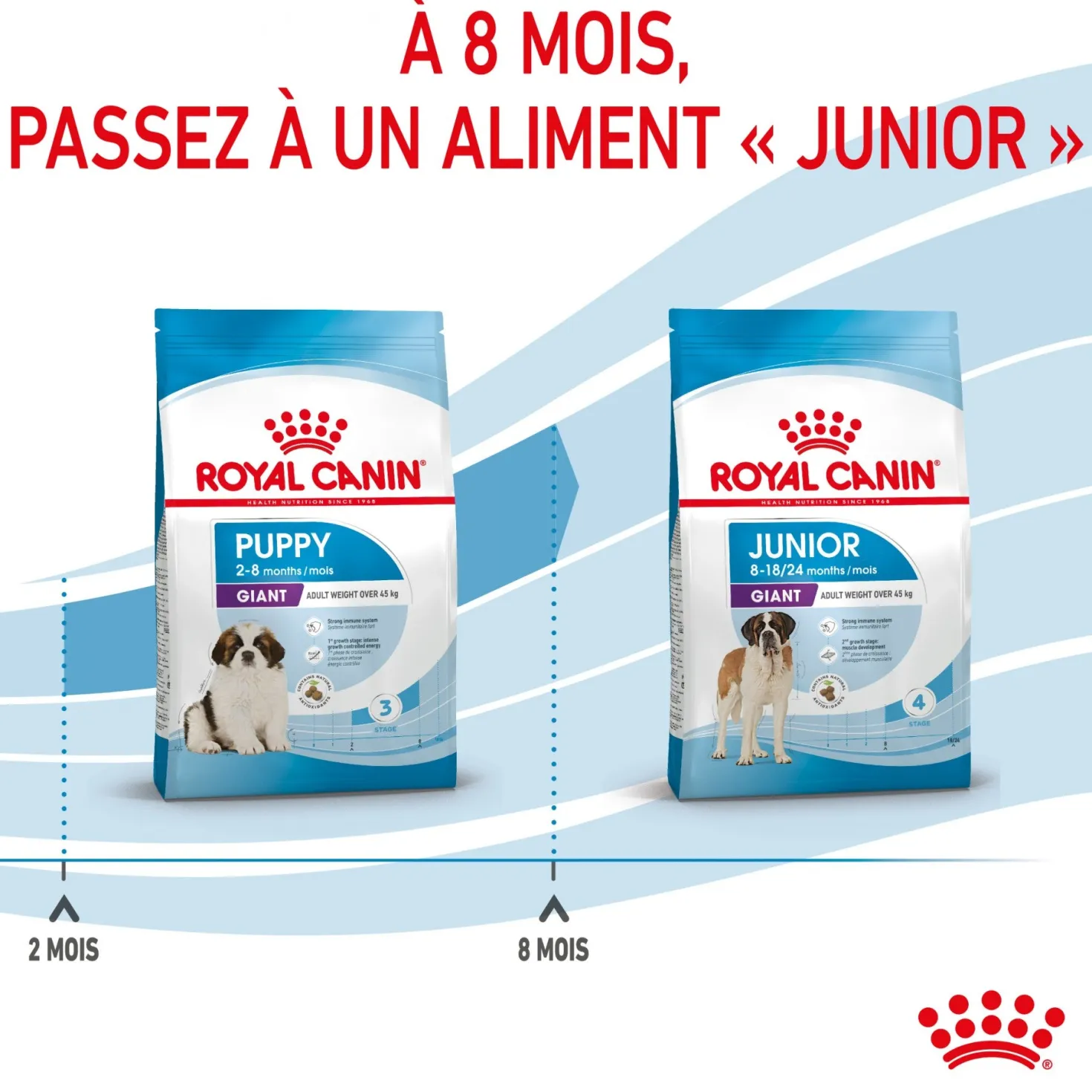 Royal Canin Giant Puppy - Croquettes pour chiot