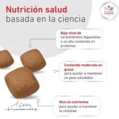 Royal Canin Glycobalance - croquettes chien