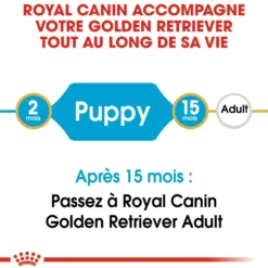 Royal Canin Golden Retriever Puppy - Croquettes pour chiot