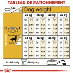 Royal Canin Golden Retriever Adult - Croquettes pour chien