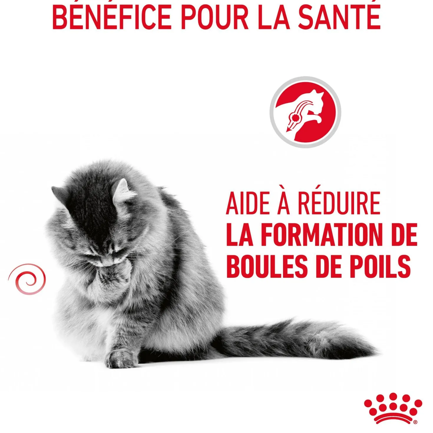ROYAL CANIN Hairball Care en Gelée – Pâtée pour chat