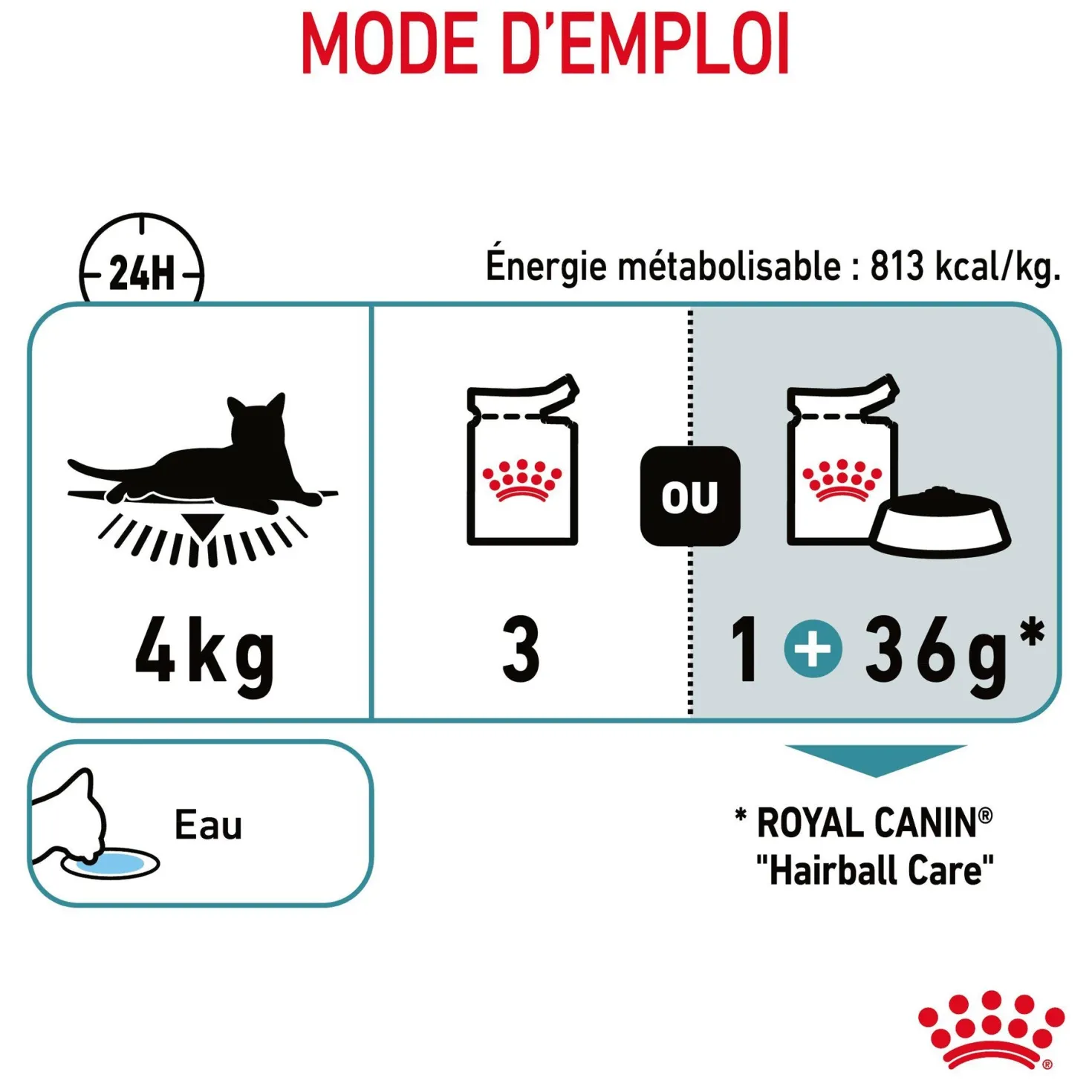 ROYAL CANIN Hairball Care en Gelée – Pâtée pour chat