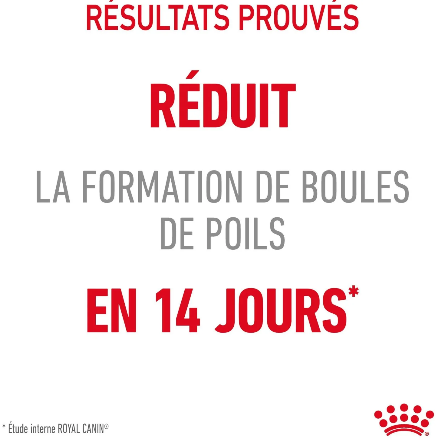 ROYAL CANIN Hairball Care en Gelée – Pâtée pour chat