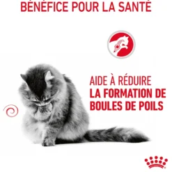 Royal Canin Hairball Care - pâtée chat
