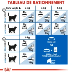 Royal Canin Indoor 27