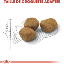 Royal Canin Indoor 7+