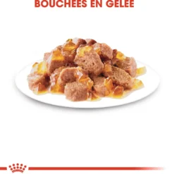 Royal Canin Instinctive - pâtée chat