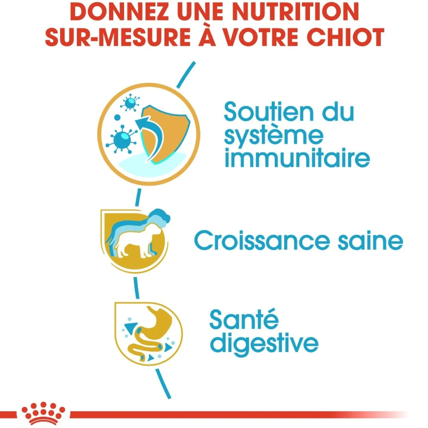 Royal Canin Jack Russell Puppy - croquettes chiot