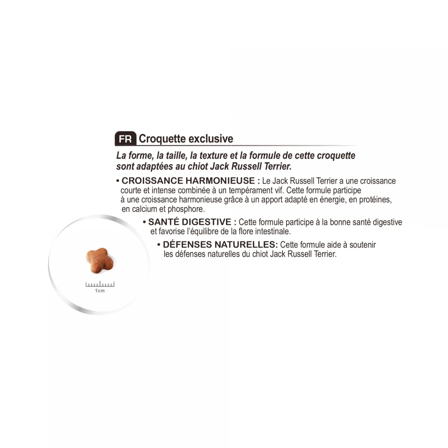 Royal Canin Jack Russell Puppy - croquettes chiot