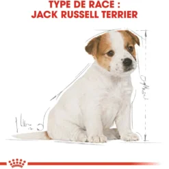 Royal Canin Jack Russell Puppy - croquettes chiot
