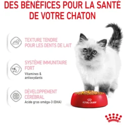Royal Canin Kitten en Gelée - Pâtée pour chaton