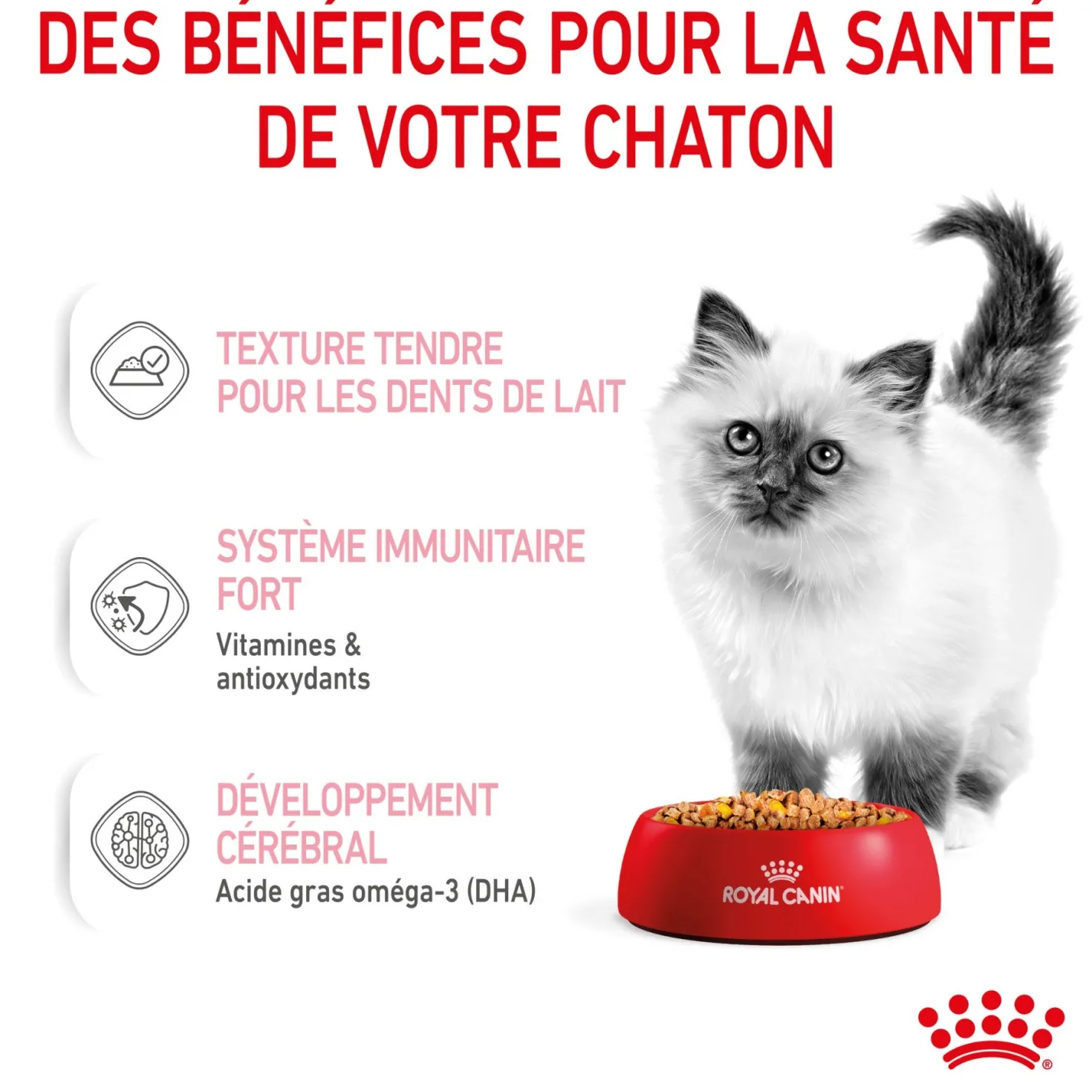 Royal Canin Kitten en Gelée - Pâtée pour chaton
