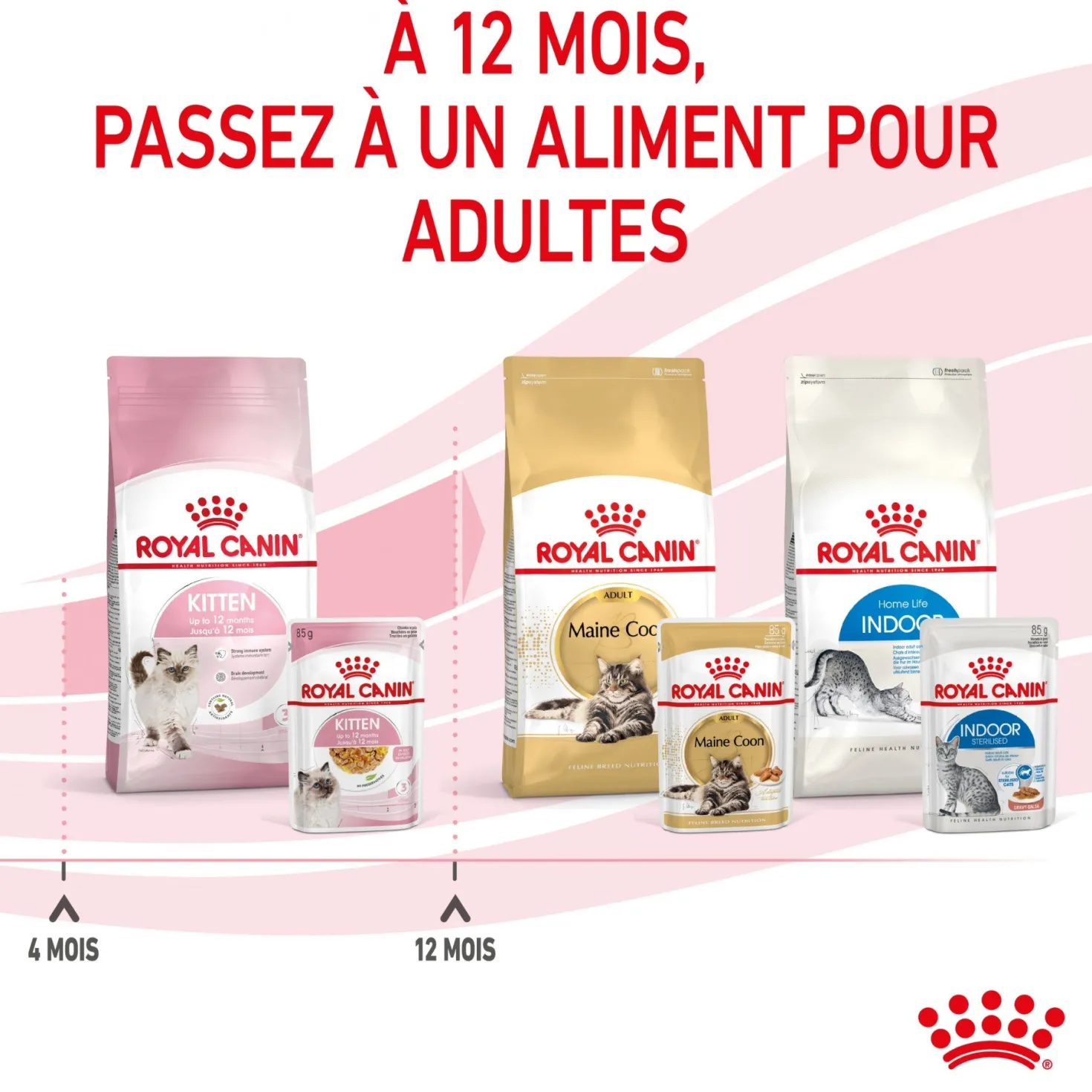 Royal Canin Kitten en Gelée - Pâtée pour chaton