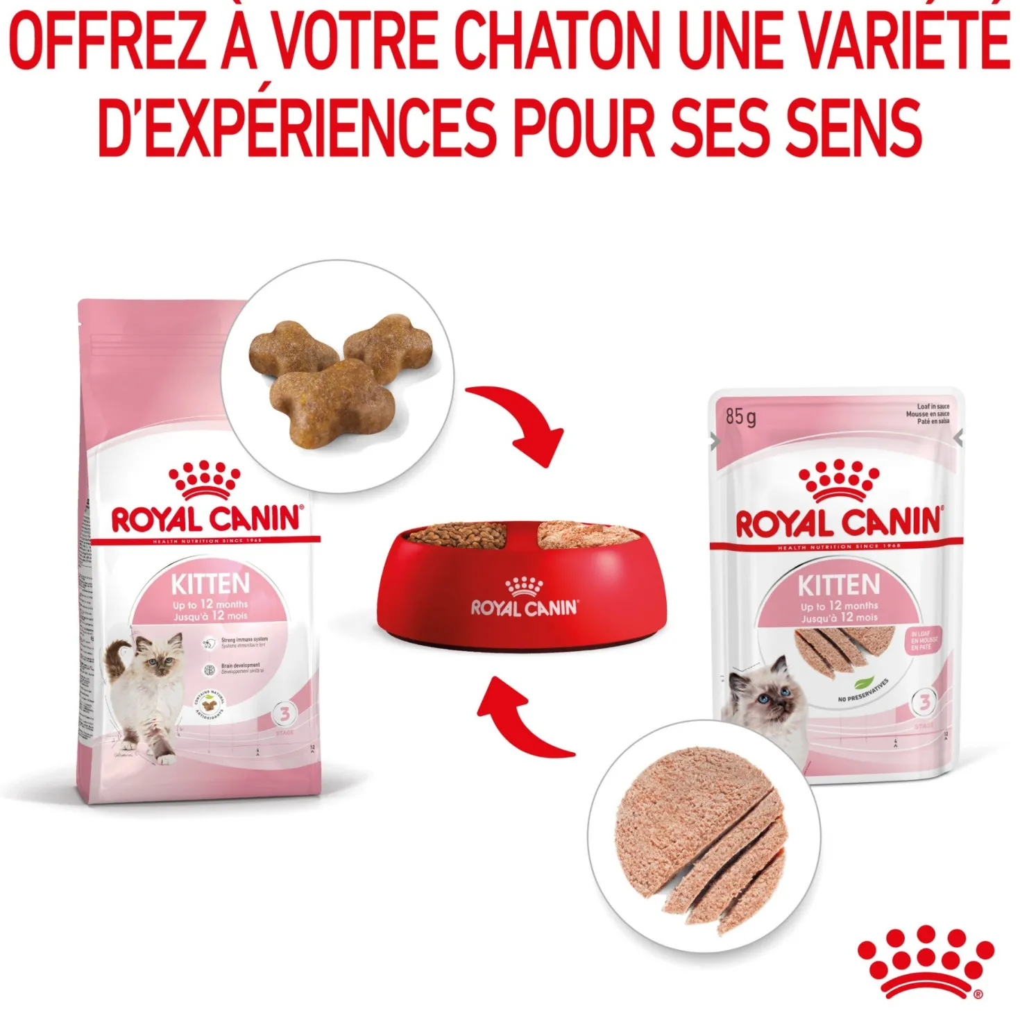 Royal Canin Kitten - Mousses pour chaton