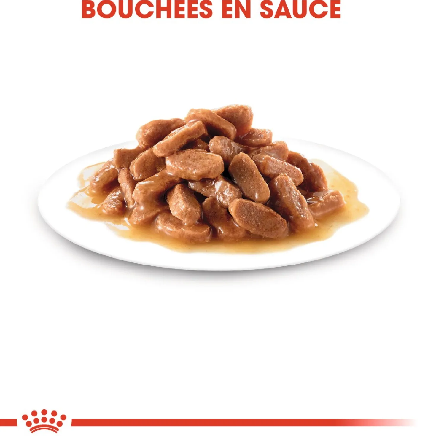 Royal Canin Kitten - Mousses pour chaton