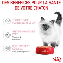 Royal Canin Kitten - Mousses pour chaton