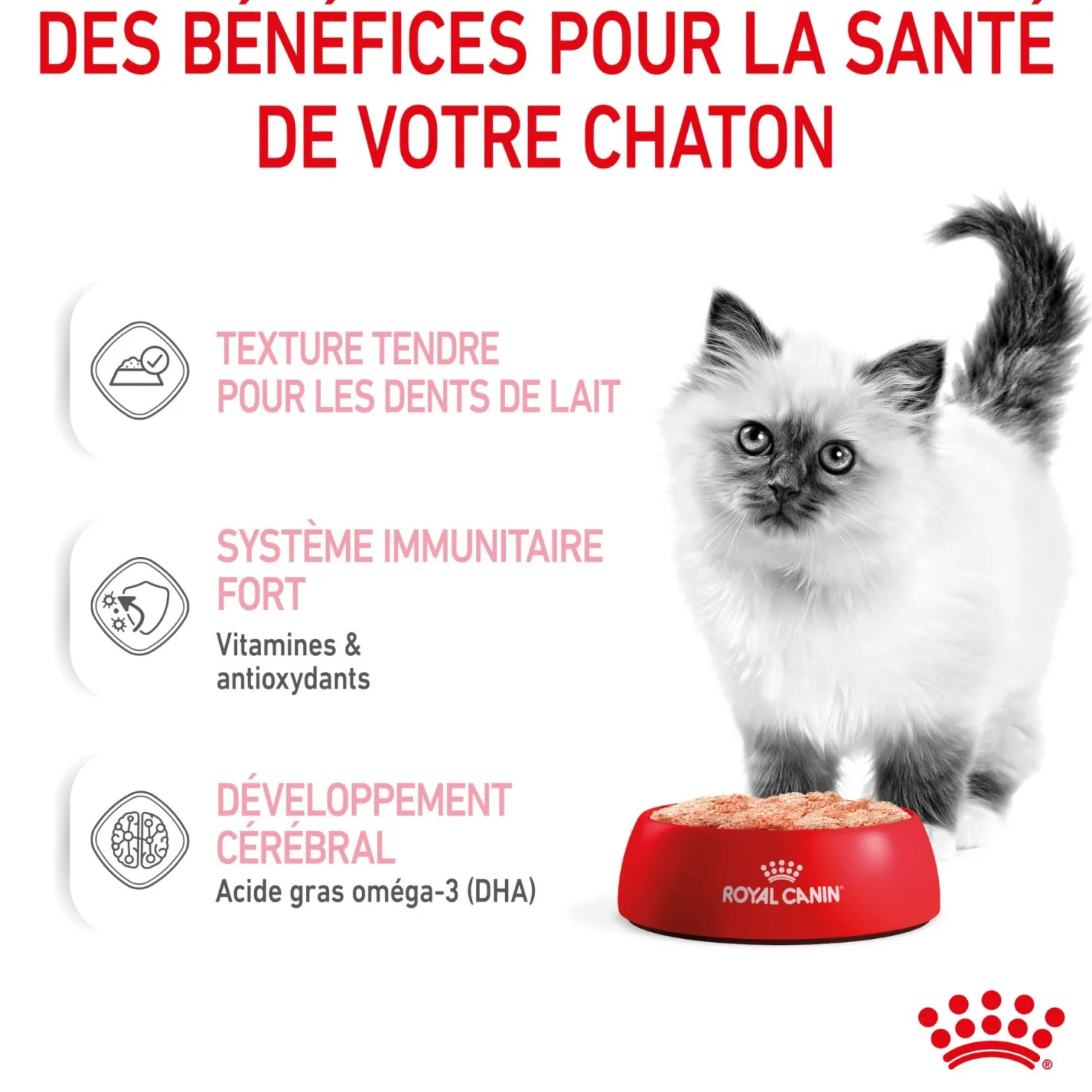 Royal Canin Kitten - Mousses pour chaton