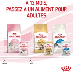 Royal Canin Kitten - Mousses pour chaton