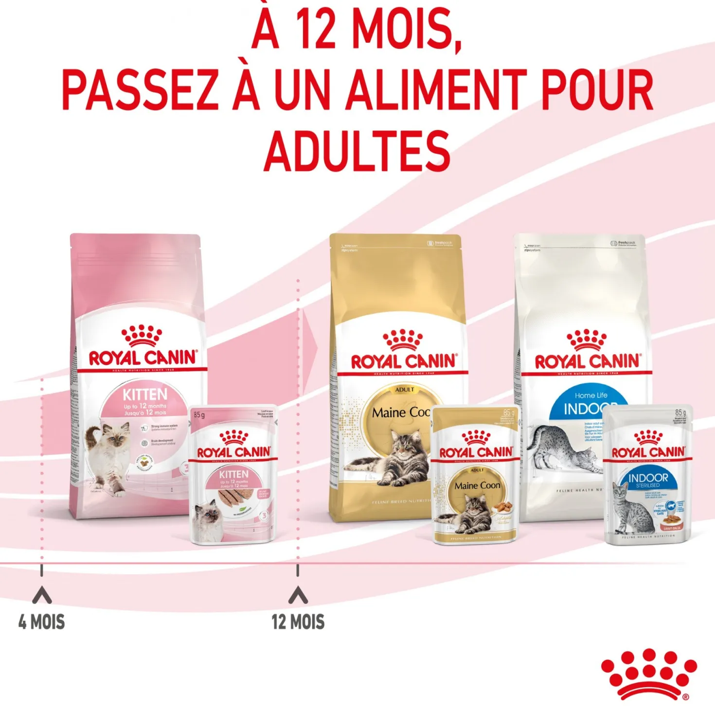 Royal Canin Kitten - Mousses pour chaton