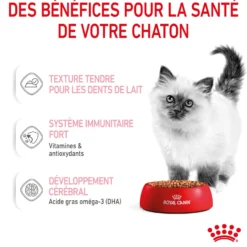 Royal Canin Kitten sauce - pâtée chaton