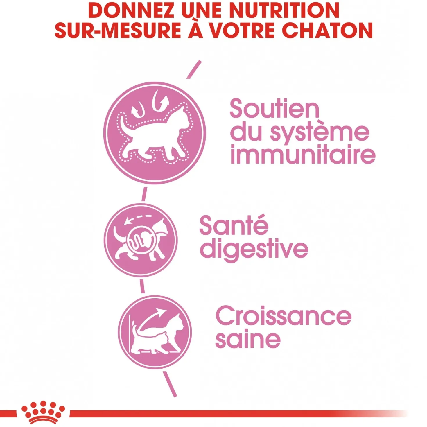 Royal Canin Kitten Second Age - croquettes chaton