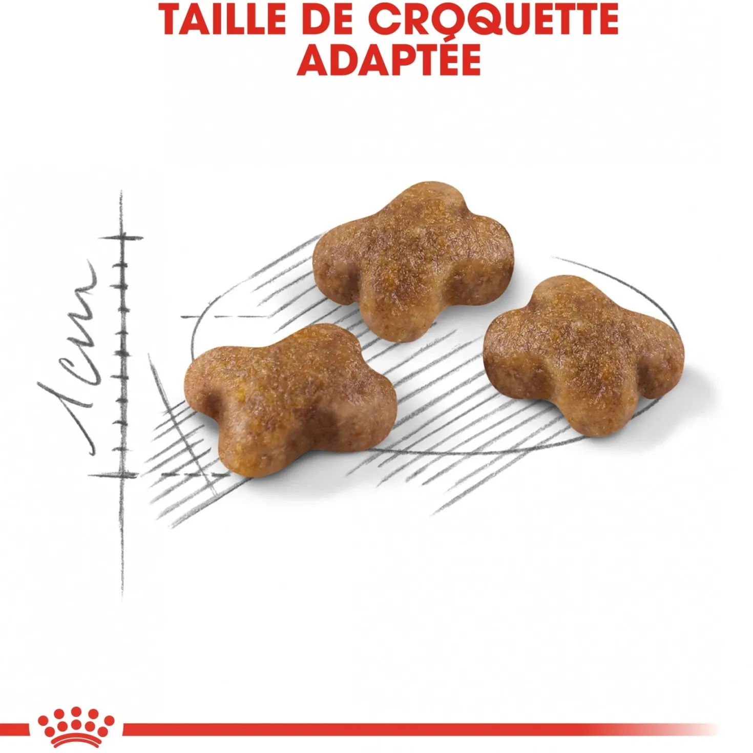 Royal Canin Kitten Second Age - croquettes chaton